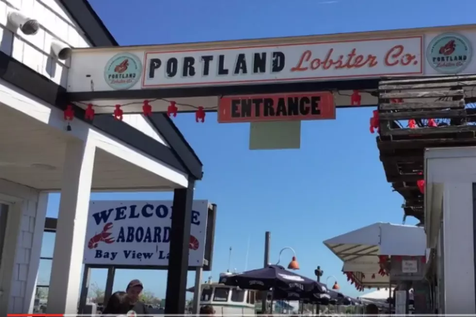 Check Out Portland, Through The Eyes Of Tourists [VIDEO]