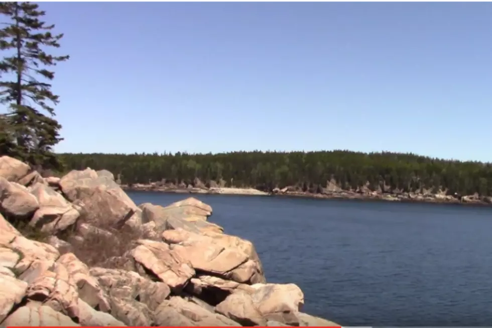 Man Traveling Cross-Country Falls In Love With Maine, May Never Leave [VIDEO]