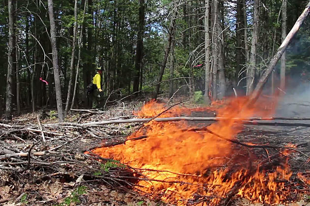 With All The Rain We&#8217;ve Had, Why Do We Still Have High Fire Danger in Maine?