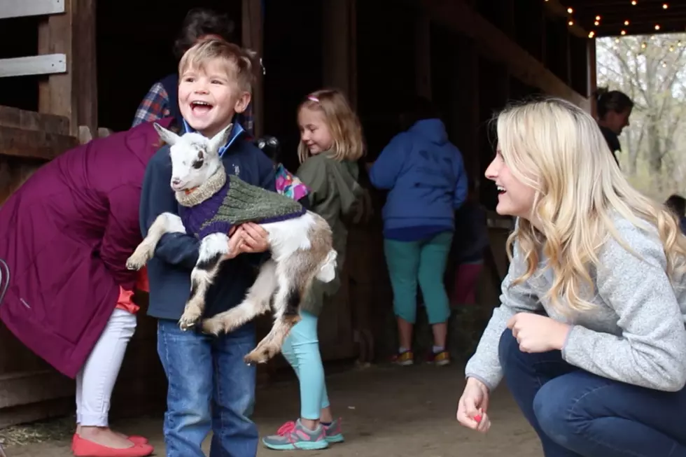 We Surprised Maine Moms and Their Kids with Baby Goats for an Adorable Morning on the Farm