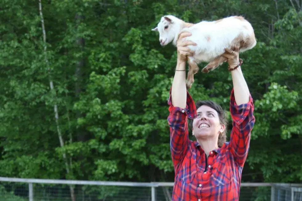 Goat Yoga is the Newest Fitness Trend and You Can Try It in Cumberland, Maine