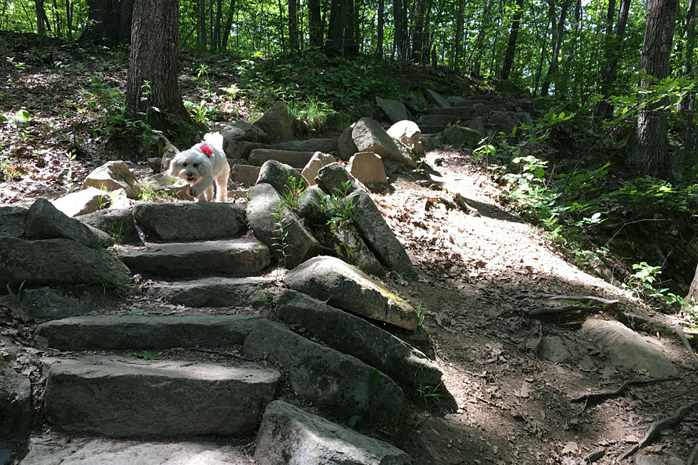 Portland, Maine’s Only Natural Waterfall Is Hidden Just A Short Walk From Congress Street