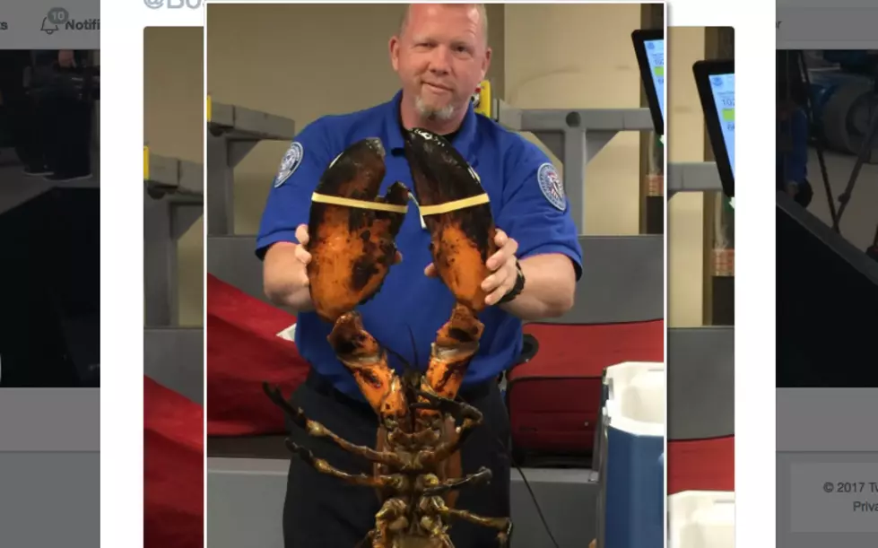 TSA Confiscates Giant Lobster