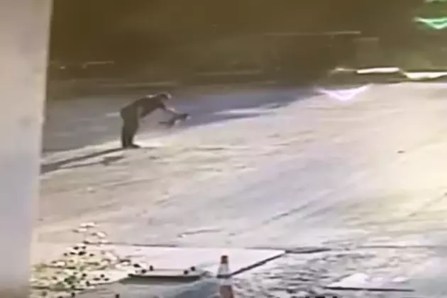 Topsham Man Throws Attacking Rabid Fox  [VIDEO]