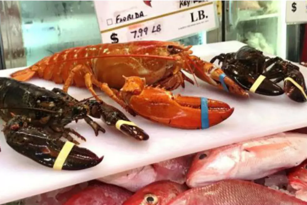 Skyldfølelse Grusom karakterisere A One In 10 Million Rare Red Lobster Found In Maine