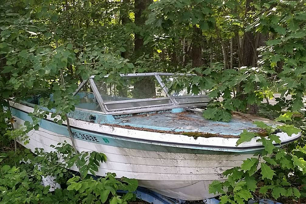 Craigslist Free Stuff Section Has All of Your Maine Summer Essentials