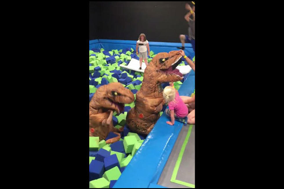 Watch Two Dinosaurs Get Stuck in the Foam Pit at Aero Air in Lewiston