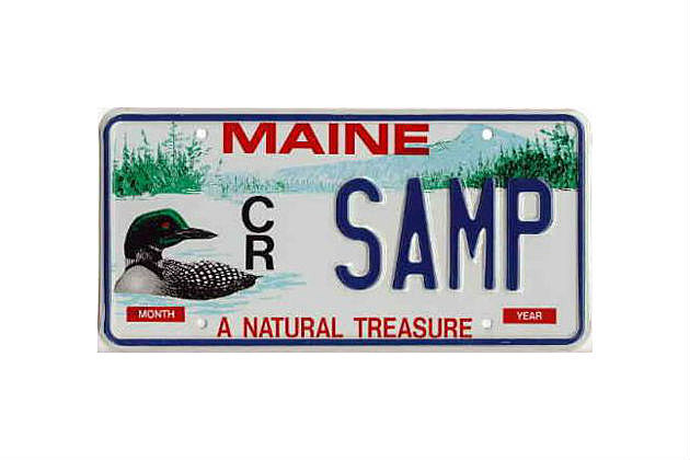 RANDOM PLATE # Maine LOON License Plate DUCK MALLARD WILDLIFE 