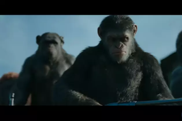 You&#8217;ll Be Rooting for the Apes!  [VIDEO]