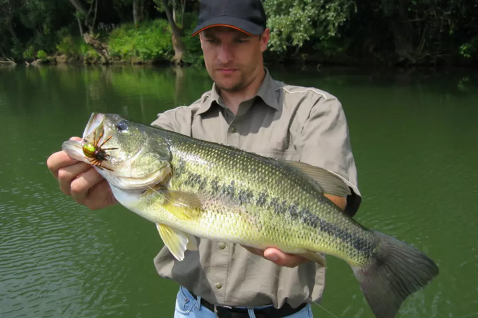 Bass Fishing Tournament to Benefit Cans for a Cure!