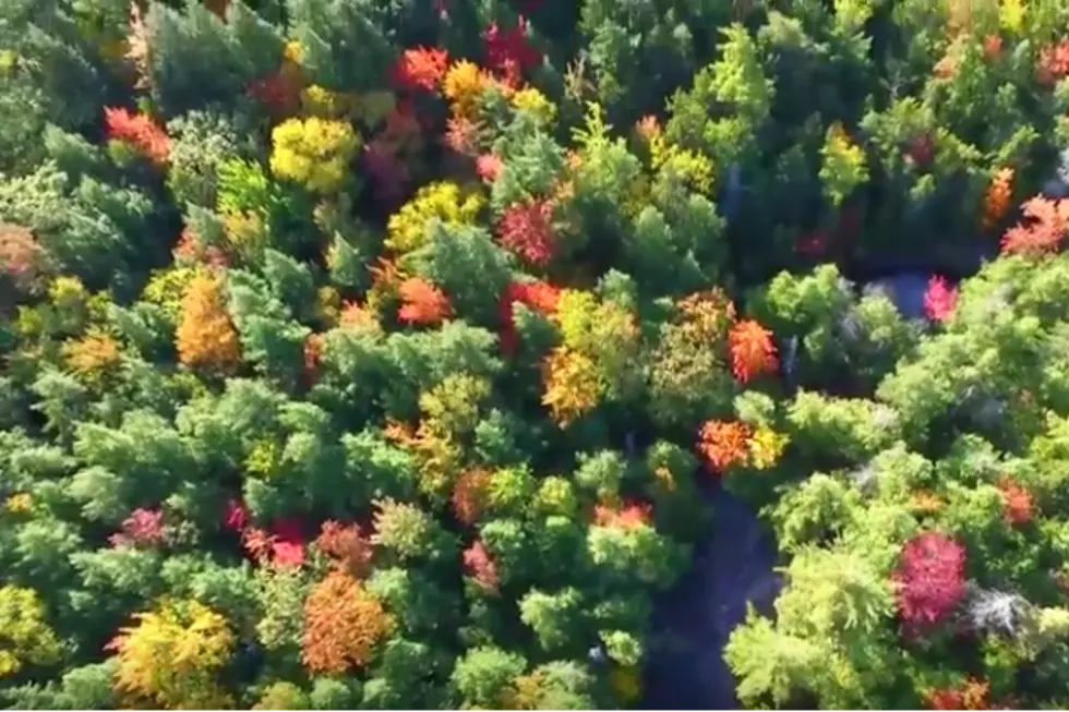 Drone Captures The Beauty Of New England In Autumn [VIDEO]