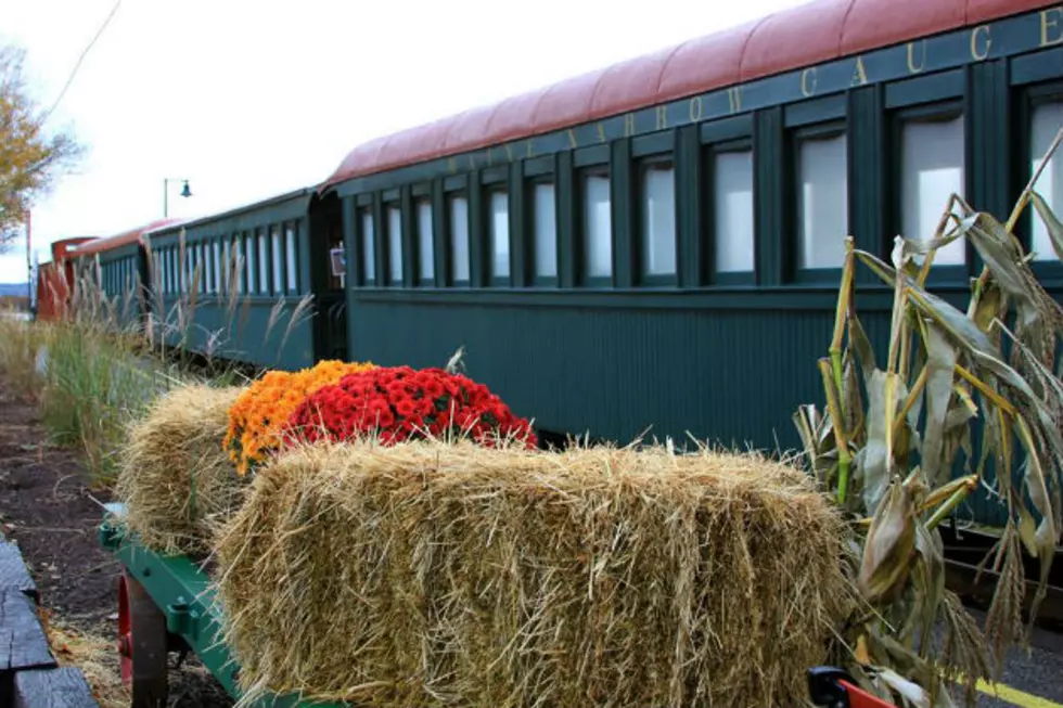 Ride The Pumpkin Train This Weekend On The Narrow Gauge Railroad