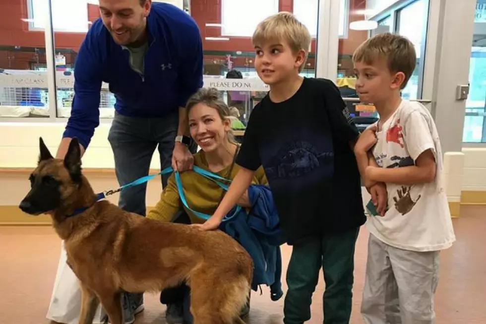 Pups From Puerto Rico Have Found Their Forever Homes In Maine