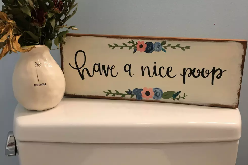 This Maine Etsy Shop Creates the Perfect Decor for Your Toilet