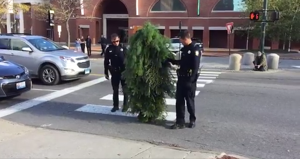 Portland’s Infamous ‘Tree Man’ Sentenced to Community Service for Blocking Congress Street