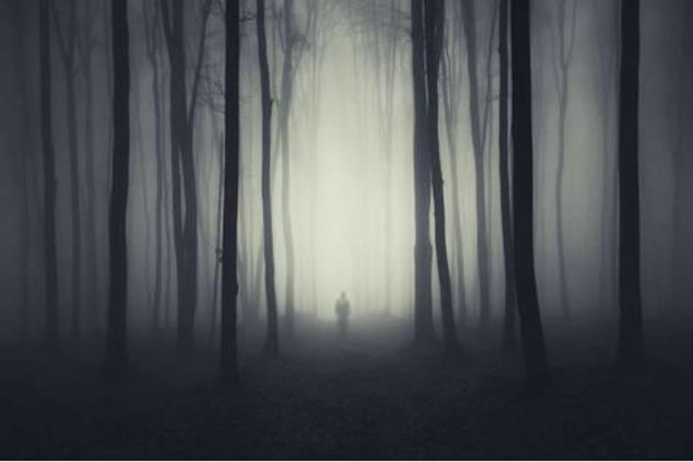Are You Brave Enough For The Night Terrors Haunted Woods Walk?