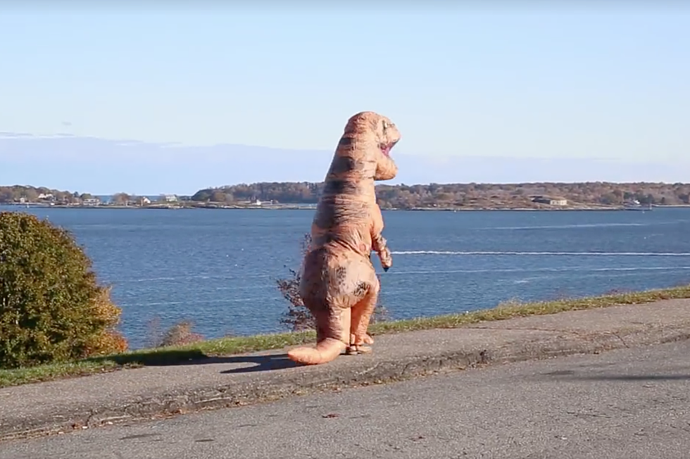 Rogue T-Rex Spotted Running Around in Downtown Portland, Maine