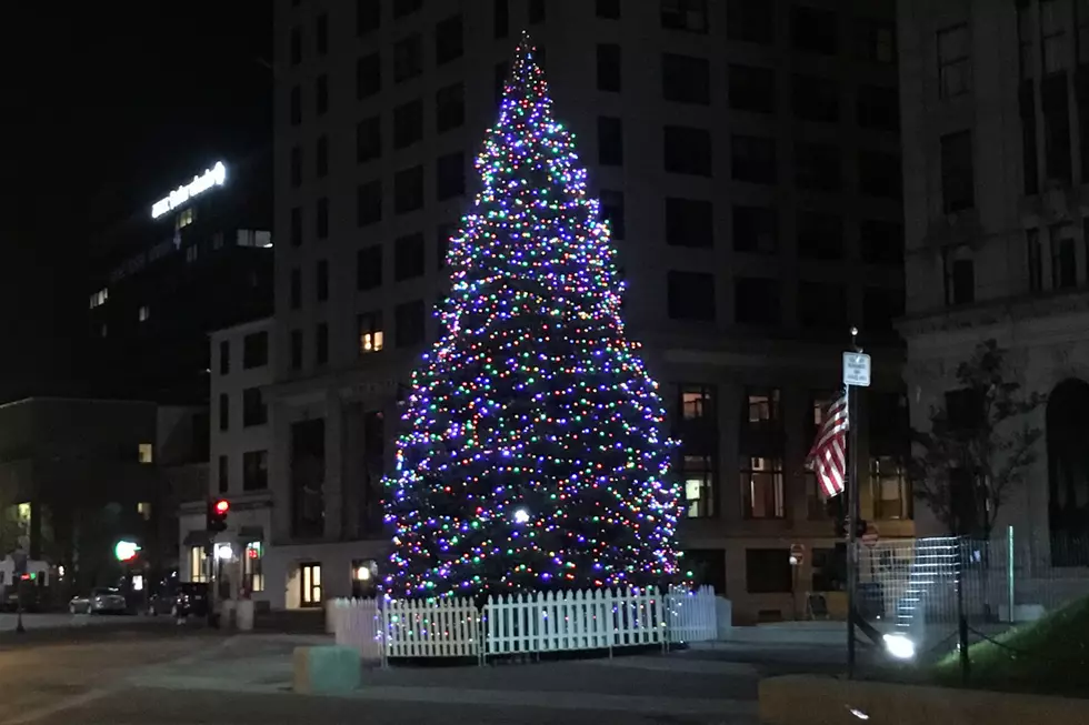 POLL: Should Maine Cities and Towns Use The Term Holiday Tree?