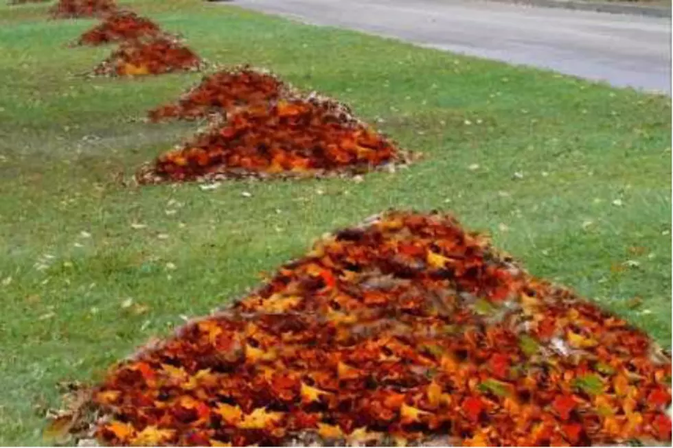 Got A Lawn Full Of Leaves? Here’s A Quick Way To Clear Them [VIDEO]