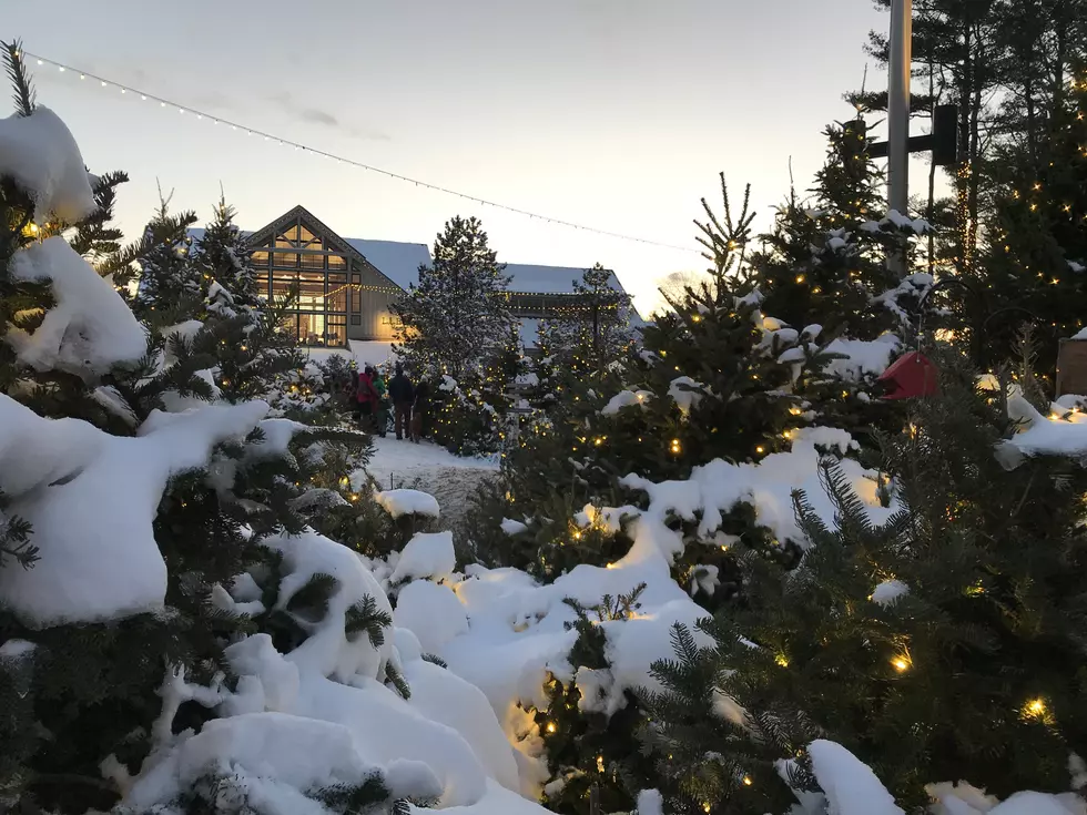 Experience LL Bean’s Northern Lights Celebration This December