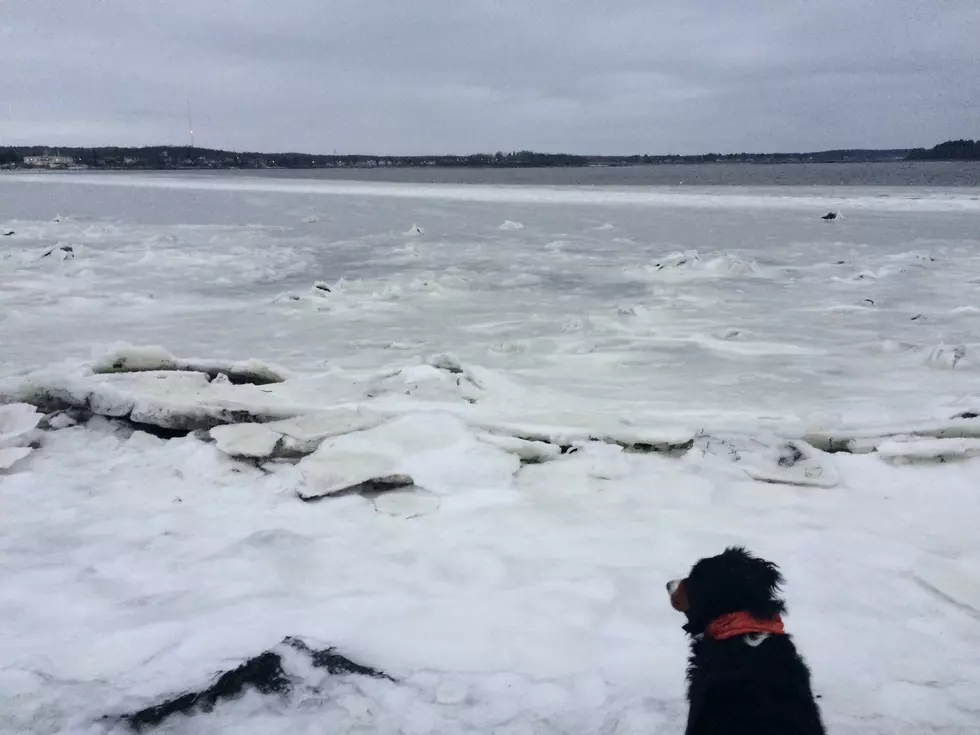 Check Out This Wild Ice Formation on Casco Bay