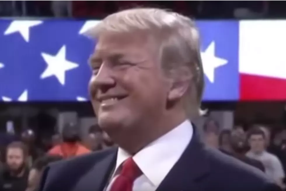 Watch This Hysterical Video Before Trump Has It Taken Down