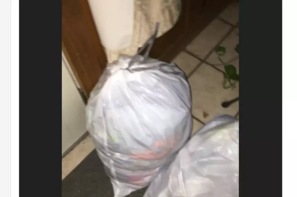 Two White Plastic Bags For Sale Online in Biddeford...For Real