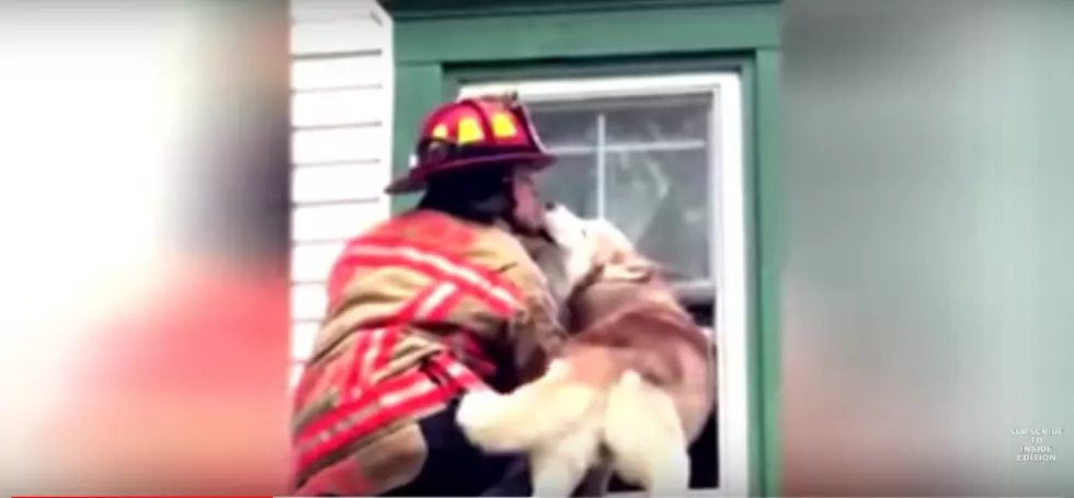 Video: Maine Firefighter Saves Dog from Roof in Wells &#038; Gets Thanked, Puppy-Style!