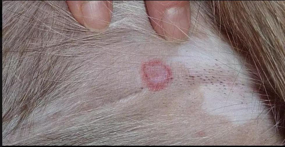 Facebook/VeterinaryClinic