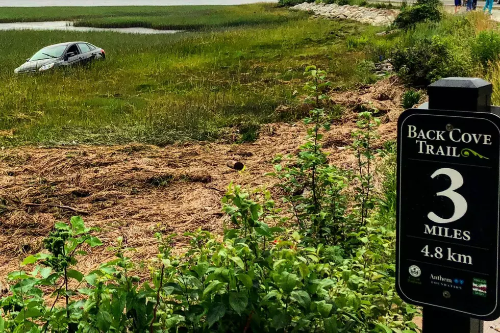 How Did This Car End Up In the Marsh Along Back Cove?