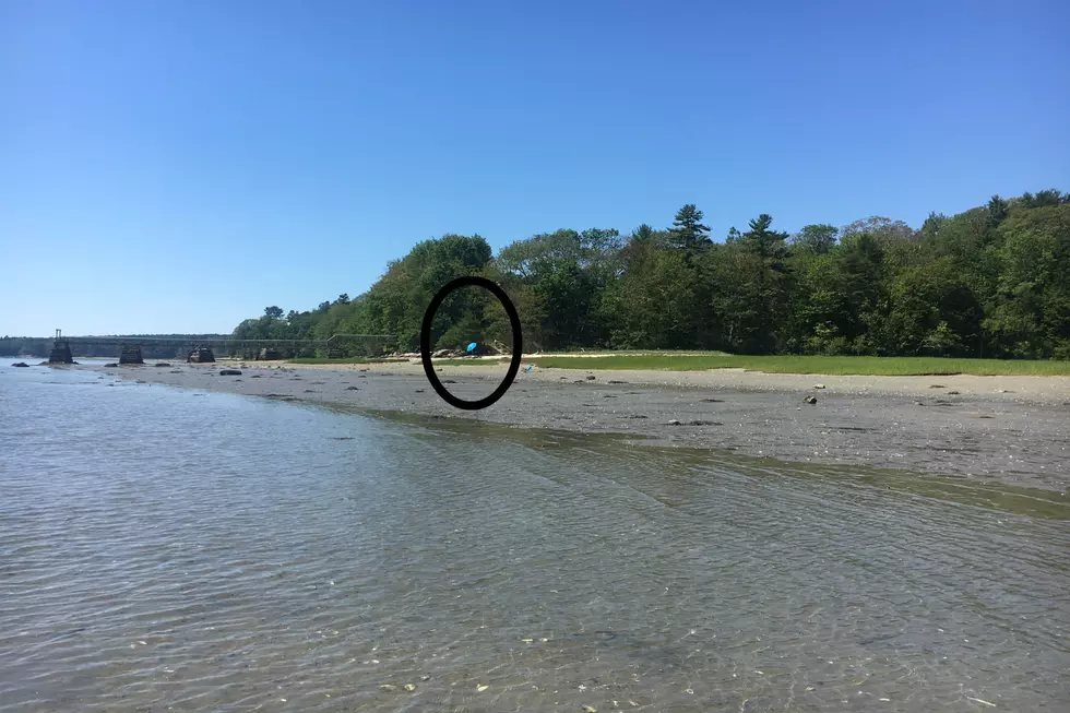 I Found a Maine Beach That Was Empty, Gorgeous, Close and Free