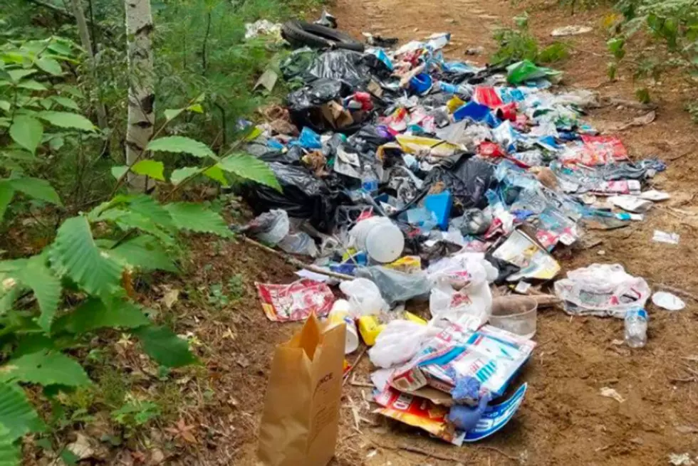 Maine Forest Rangers Hunt for Woods Trash Dumper
