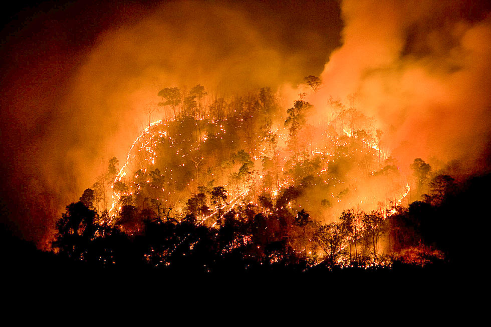 Maine Forest Rangers, Firefighters Help Combat Fatal CA Wildfires