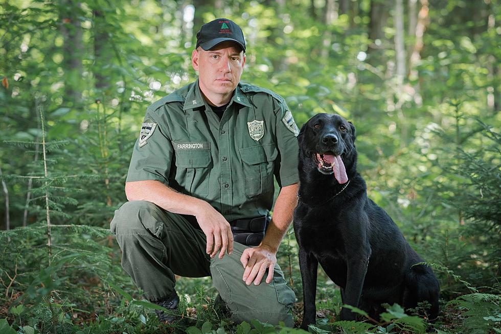 Maine Warden Service Remembers K9 Koda After 11 Years of Service