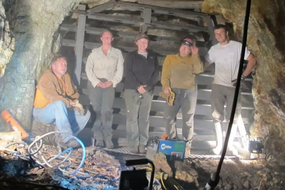 Bat Gate Installed at Maine Cave to Protect Bats From Disease