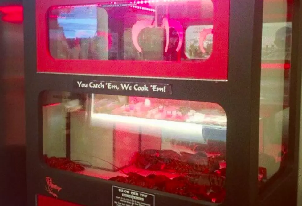 The Lobster Claw Machine: Intriguing or Disturbing?