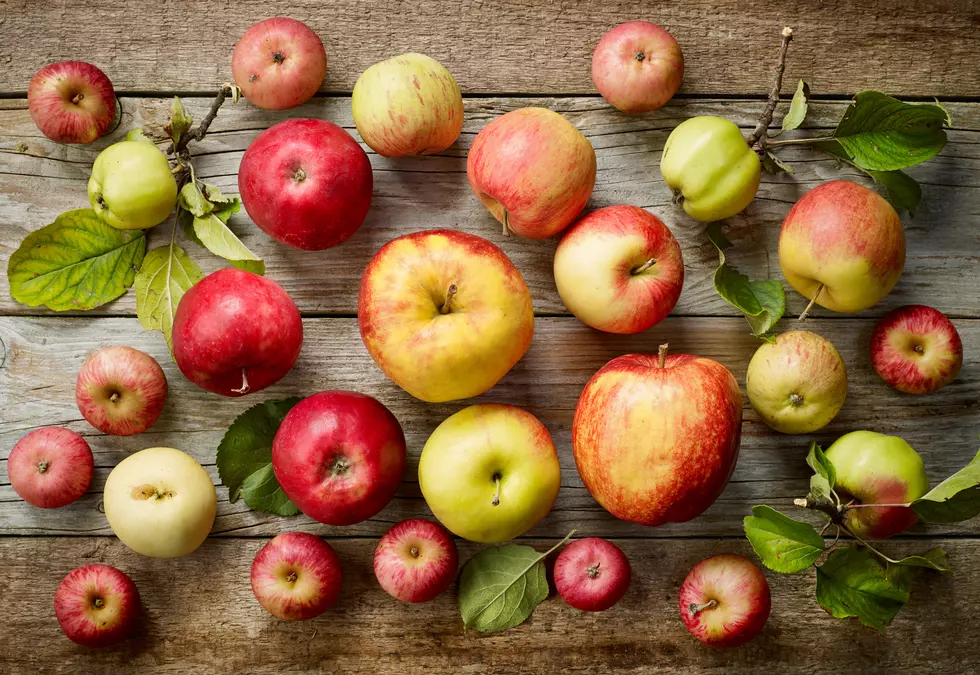 Looking for Weird Apples in Maine? We&#8217;ve Got You Covered.