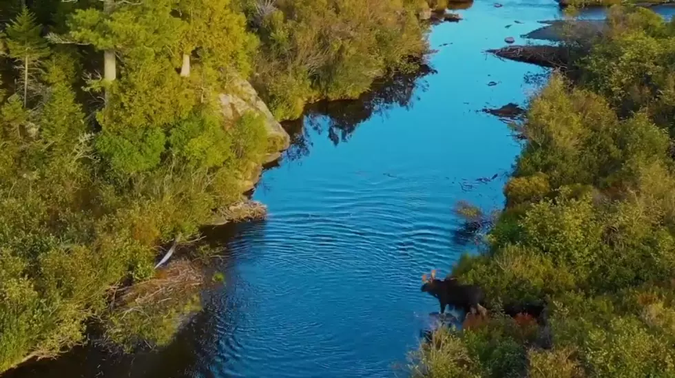 Breathtaking Aerial Video Shows Maine Foliage Is About To Pop