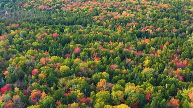 Breathtaking Aerial Video Shows Maine Foliage Is About To Pop