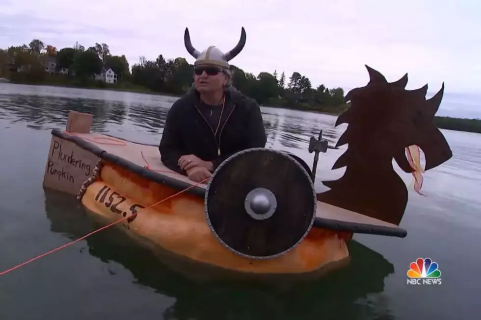 Lester Holt Describes Damariscotta Pumpkin Regatta Like Dr. Seuss