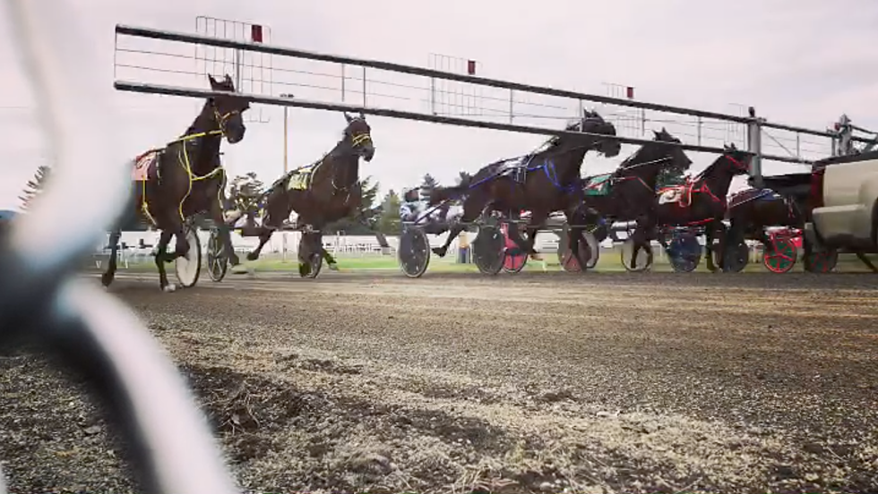 Here&#8217;s What Harness Racing at the Fryeburg Fair Looks Like in Super Slow Motion