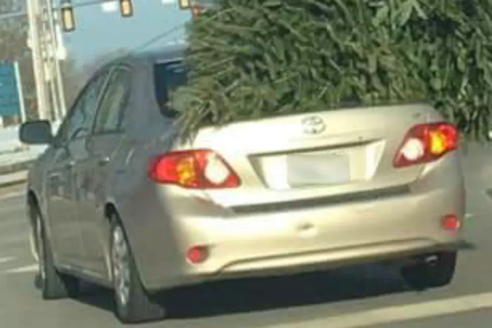 Freeport Driver Demonstrates How Not To Transport Your Christmas Tree