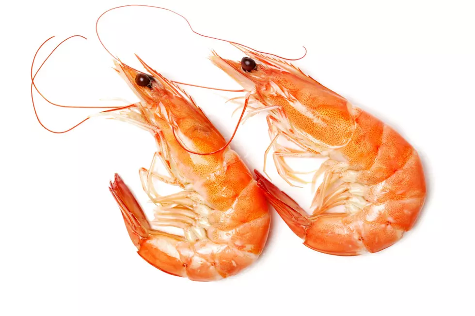 Shrimp In Gulf of Maine Considered a 'Depleted Resource'