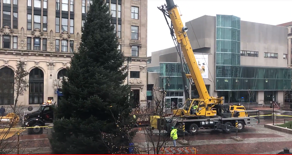 Watch Time-Lapse Video Of Portland’s Holiday Tree Being Set Up