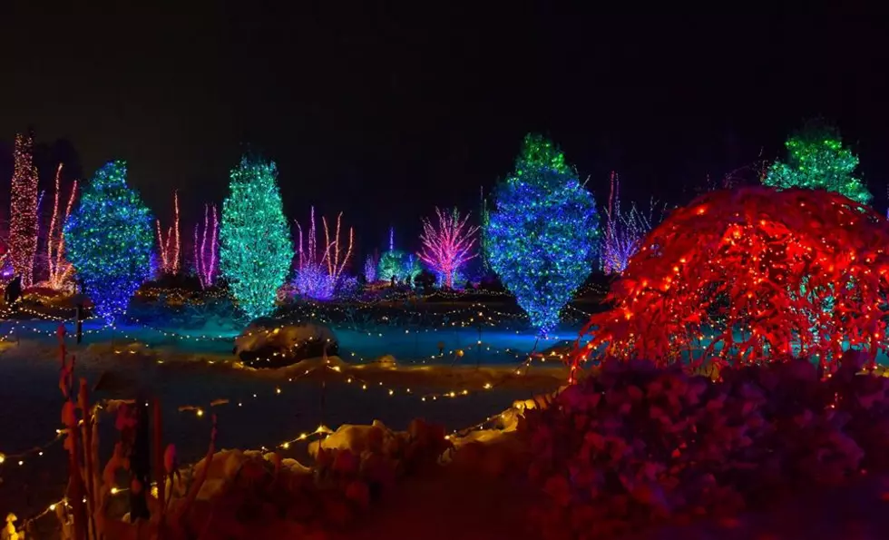 Enchantment Awaits at Maine's Largest Light Show in Boothbay