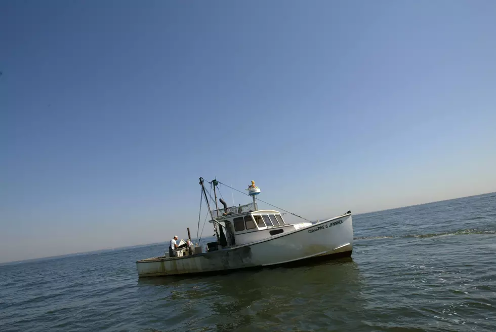Wild!  Lobster Boat Rescues Deer 5 Miles From Shore