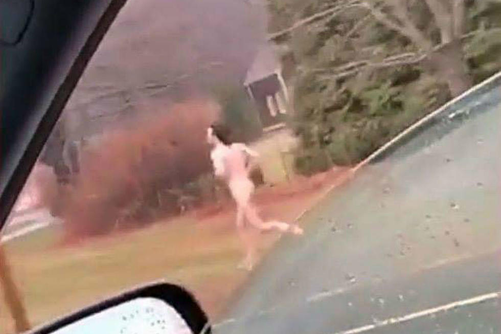 Man Crashes Truck, Strips Down Naked and Runs From Police in York
