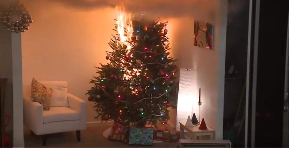 Terrifying Video Shows How Fast A Christmas Tree Can Burn