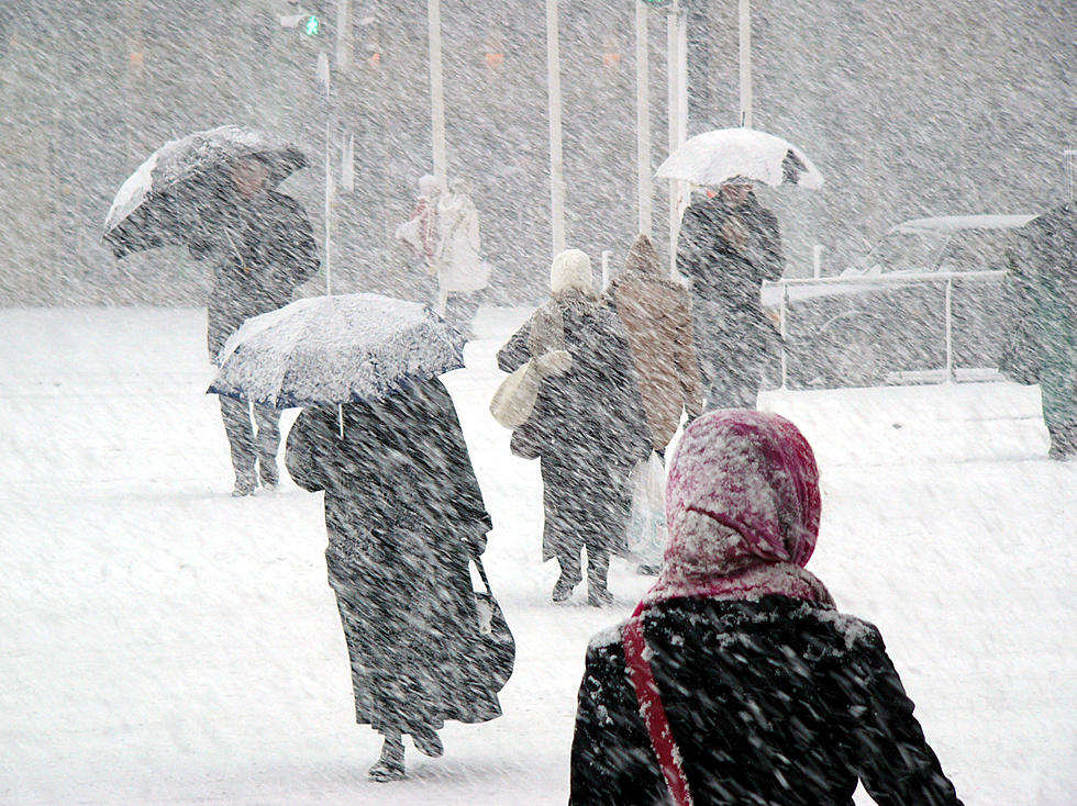 POLL: What Will Mainers Be Picking Up The Day Before The Snowstorm?