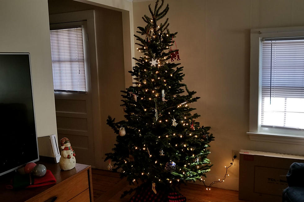 3 Reasons Why Fake Christmas Trees Are Better Than Real Christmas Trees